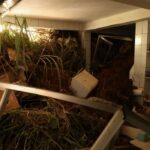 Chuvas fortes deixam 64 mortos em Juiz de Fora e Ubá