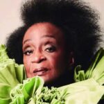 Nove escolas se apresentam neste sábado no Desfile das Campeãs de SP