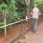 Agentes retiram 57 comedouros colocados por visitantes no Parque Ecológico de Águas Claras