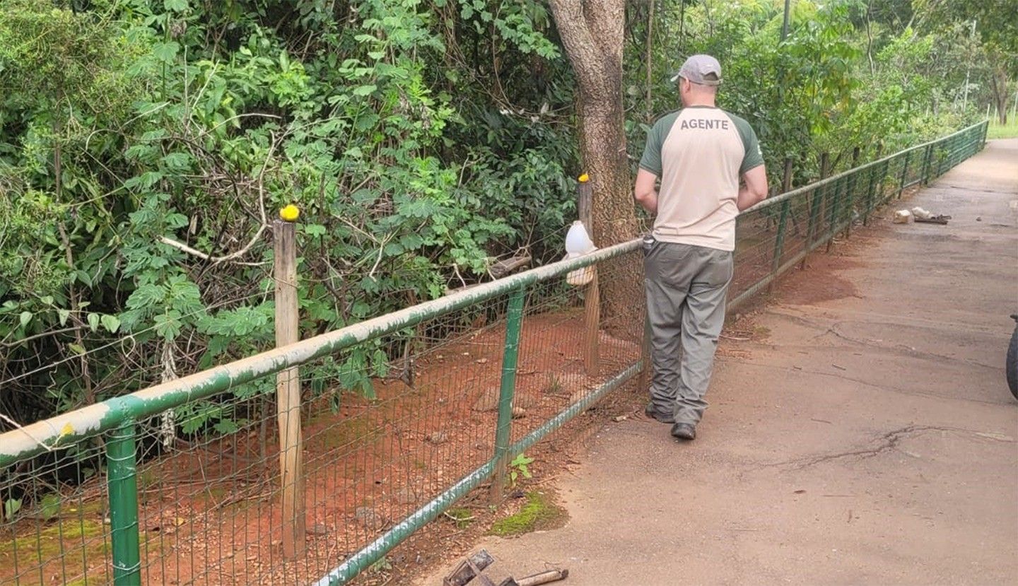 Agentes retiram 57 comedouros colocados por visitantes no Parque Ecológico de Águas Claras