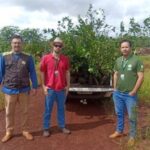 Agrodefesa apreende mudas cítricas contaminadas em Itumbiara