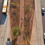 Autorizada a circulação de carros funerários nas faixas exclusivas da EPNB e da EPTG