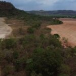 BiomasBR atualiza dados do Prodes e divulga taxa consolidada da Amazônia já em março