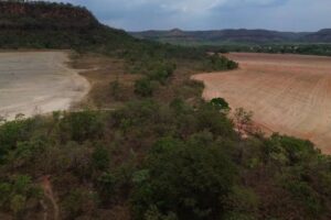 BiomasBR atualiza dados do Prodes e divulga taxa consolidada da Amazônia já em março