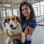 Cães resgatados aguardam há mais de um ano por um novo lar na Zoonoses do DF; saiba como adotar