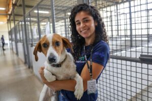 Cães resgatados aguardam há mais de um ano por um novo lar na Zoonoses do DF; saiba como adotar