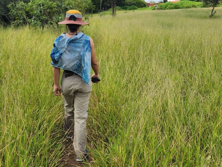 Chamamento abre inscrições para seleção de representantes da sociedade civil em comitê de trilhas ecológicas do DF
