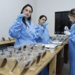 Com a soltura de wolbitos, DF apresenta queda de mais de 60% dos casos de dengue