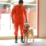 Comitiva nacional de segurança pública visita instalações do Centro de Treinamento de Cães no DF