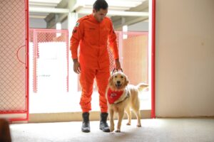 Comitiva nacional de segurança pública visita instalações do Centro de Treinamento de Cães no DF