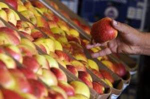 Consumo de ultraprocessados no DF diminui, mas índices continuam elevados