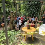 Curso capacita produtores na criação de abelhas nativas sem ferrão