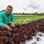 DF registra aumento de 24% no número de produtores rurais atendidos com assistência técnica desde 2019