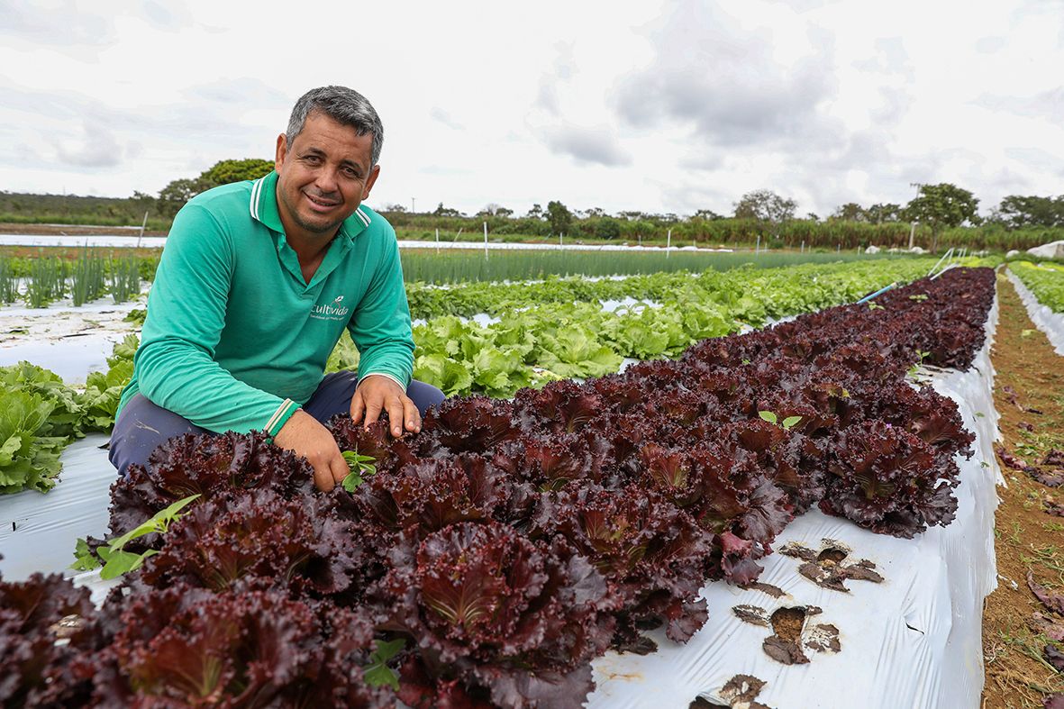 DF registra aumento de 24% no número de produtores rurais atendidos com assistência técnica desde 2019