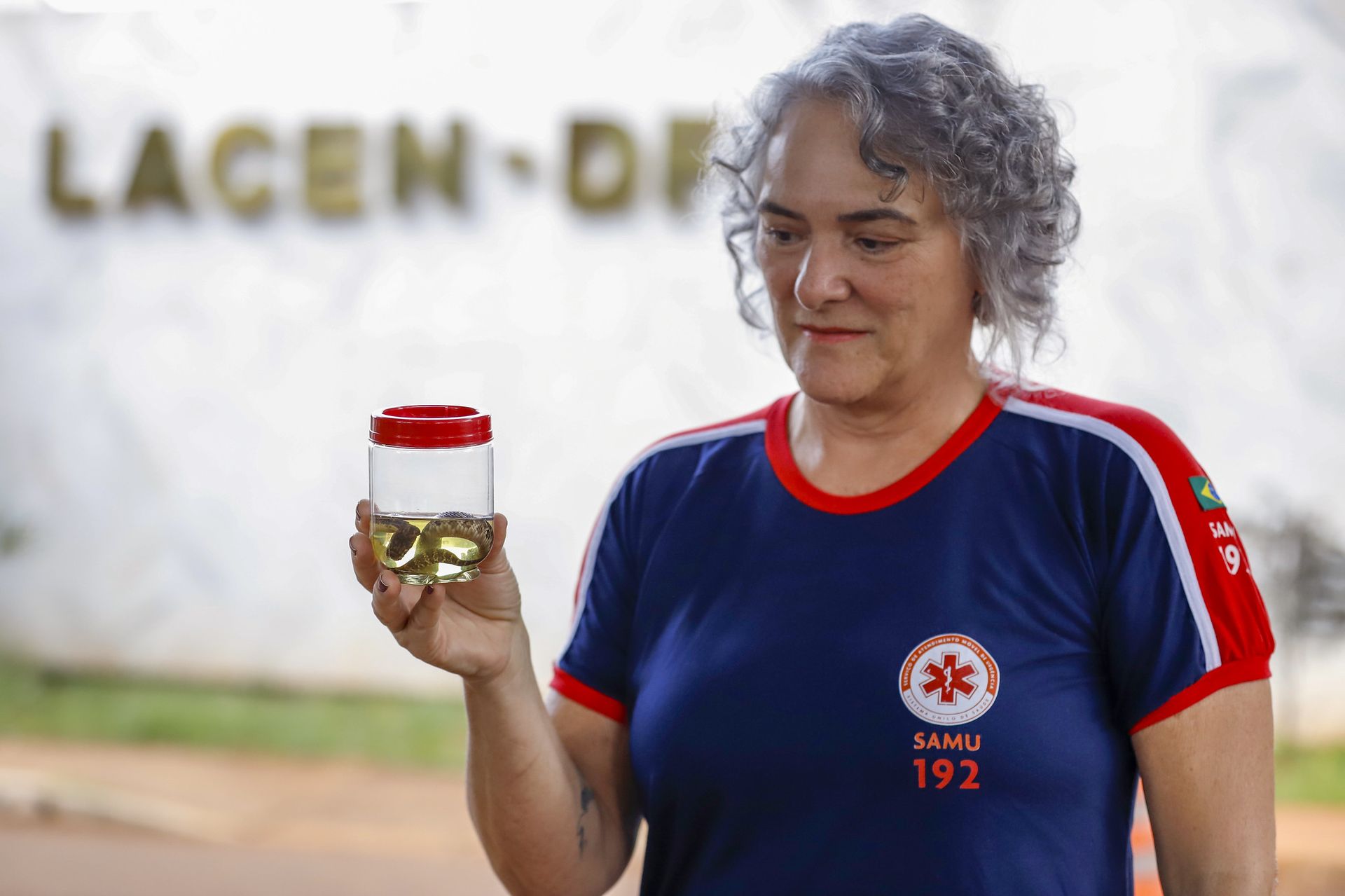 DF registra mais de 5,5 mil acidentes com animais peçonhentos em um ano