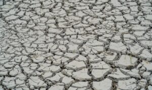 Estiagem: quinze cidades têm situação de emergência decretada