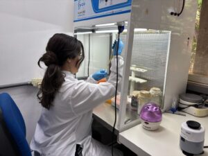 Fapeg divulga resultado do PPSUS Goiás