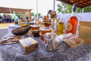 Flores de Goiás conta agora com Casa do Mel