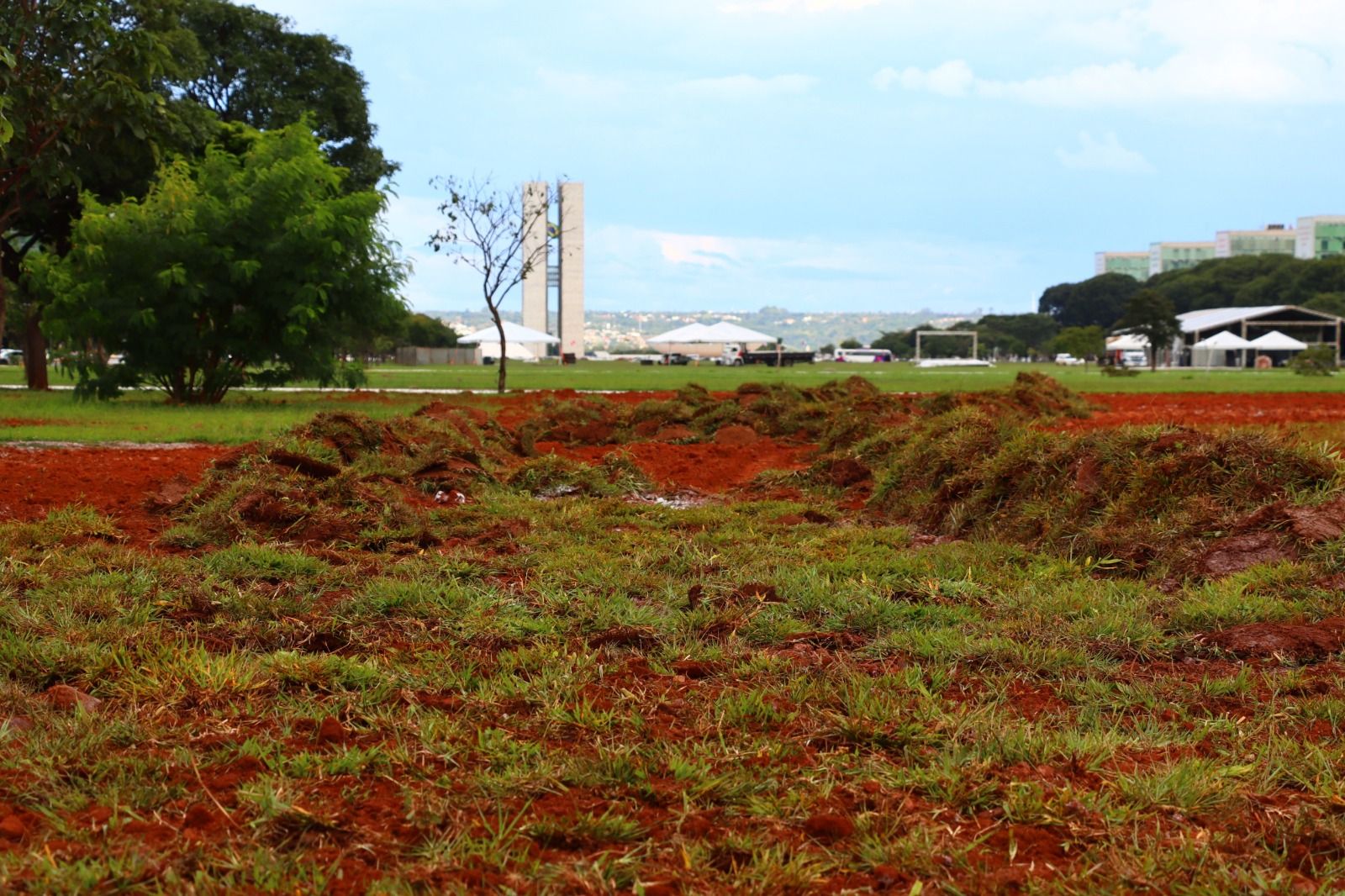 Gramado central da Esplanada dos Ministérios passa por recuperação