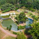 Jardim Botânico celebra 41 anos com programação especial