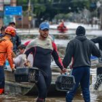 Lei cria Política de Acolhimento para animais resgatados em desastres
