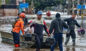 Lei cria Política de Acolhimento para animais resgatados em desastres