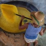 Mamirauá identifica potencial de 369 alimentos para fortalecer a segurança alimentar nacional