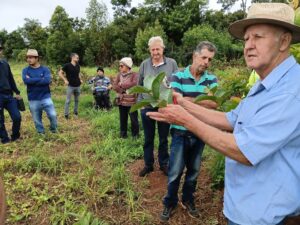 Oficina de poda em frutíferas destaca técnica que garante maior produtividade