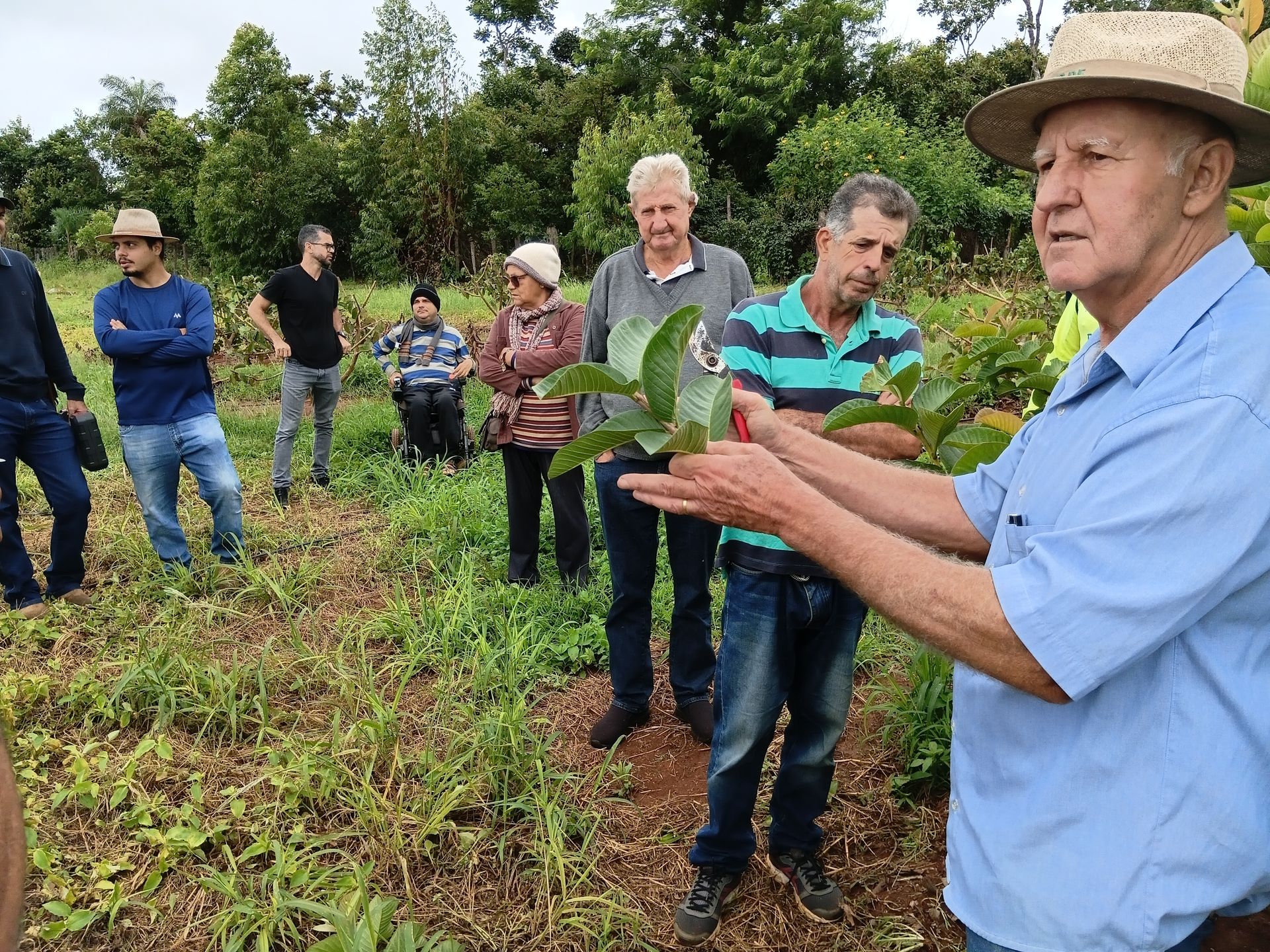 Oficina de poda em frutíferas destaca técnica que garante maior produtividade