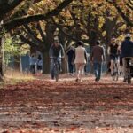 Outono começa nesta sexta-feira (20) com tendência de temperaturas acima da média no Brasil