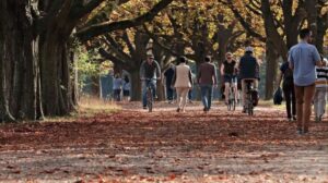 Outono começa nesta sexta-feira (20) com tendência de temperaturas acima da média no Brasil