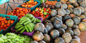 PAA Goiás avança na análise dos processos e orienta produtores