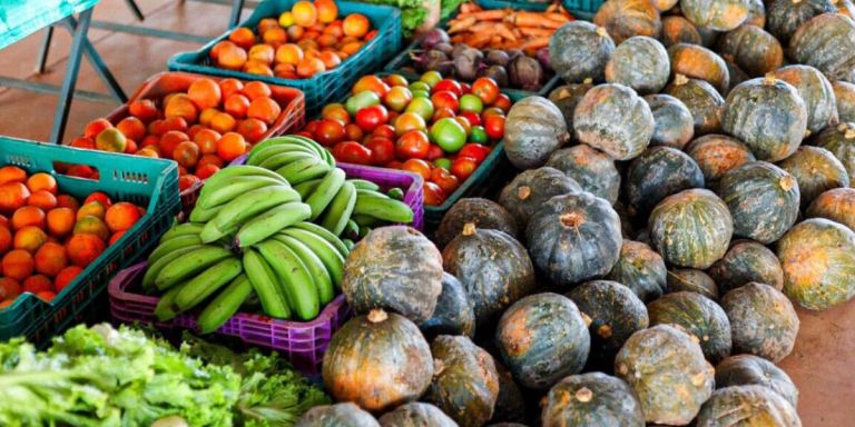 PAA Goiás avança na análise dos processos e orienta produtores