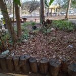 Parque Ecológico Veredinha recebe honraria do Ministério Público por parceria em causa social