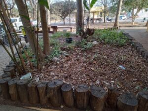 Parque Ecológico Veredinha recebe honraria do Ministério Público por parceria em causa social