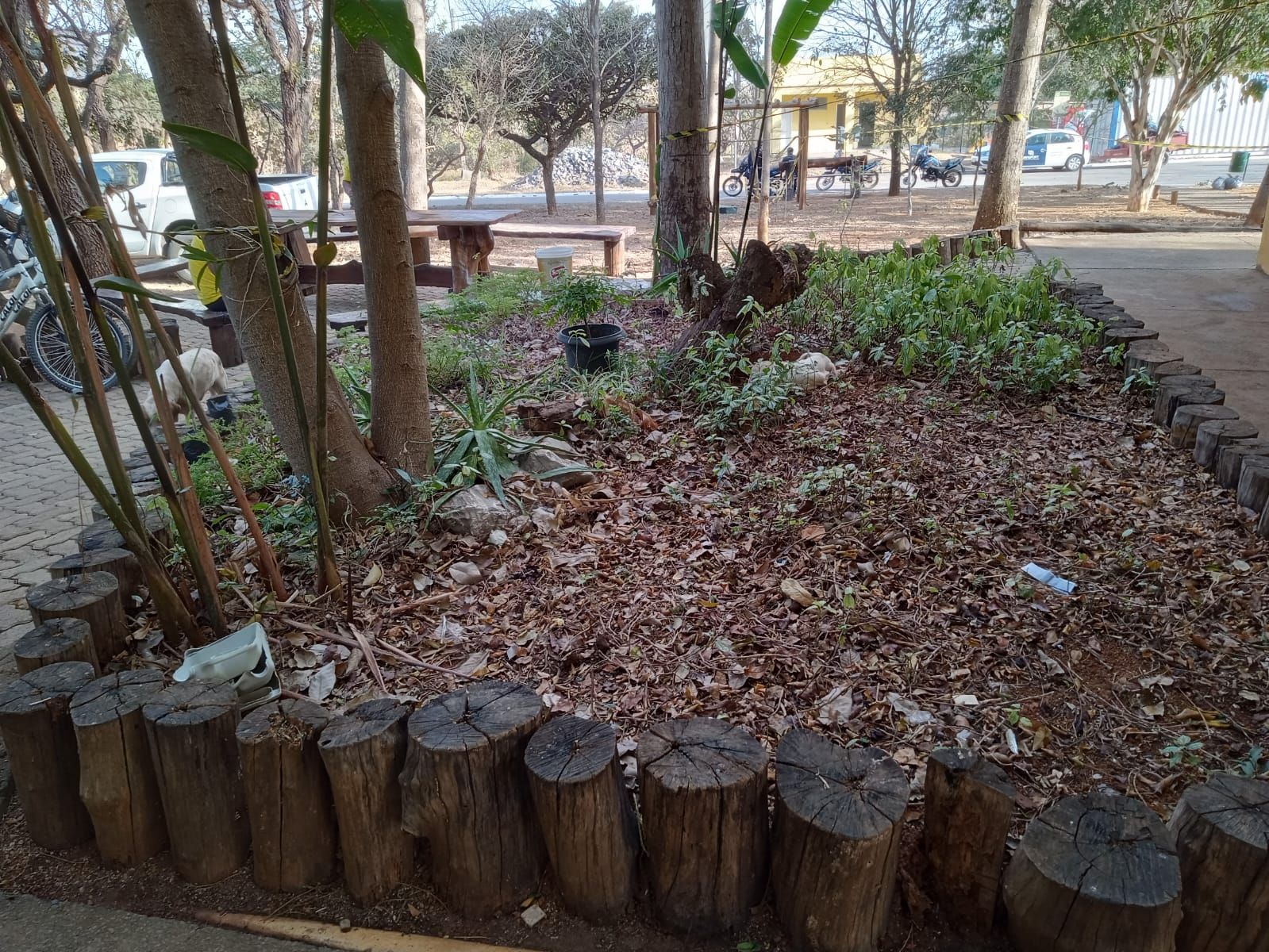 Parque Ecológico Veredinha recebe honraria do Ministério Público por parceria em causa social