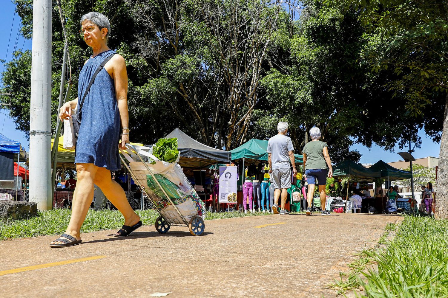 Plano Piloto abre chamamento público para feirantes em três feiras livres da região
