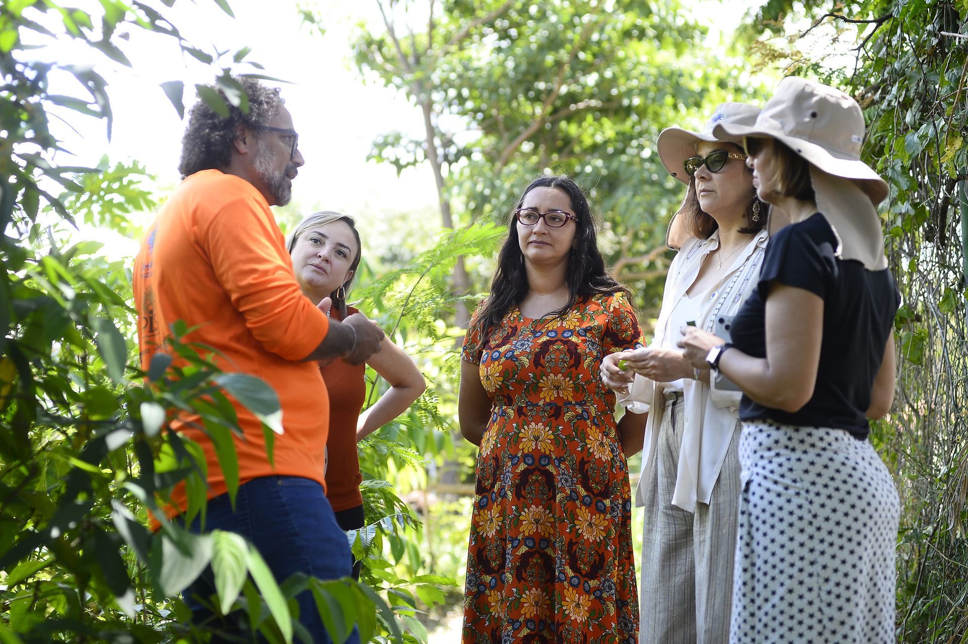 Rede de Hortos Agroflorestais do DF recebe visita de órgão da ONU