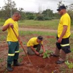 Reserva Biológica do Guará e Parque Ecológico Ezechias Heringer recebem plantio de mudas nativas nas últimas chuvas da estação