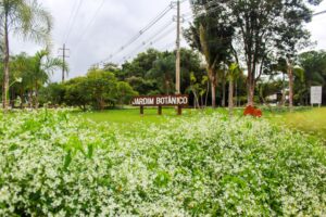 Revista do Jardim Botânico publica descobertas inéditas sobre a biodiversidade brasileira