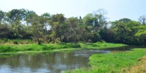 Saneago avalia qualidade da água do Meia Ponte durante expedição científica