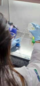 Startup desenvolve ativos para cosméticos a partir do veneno de vespas do Cerrado