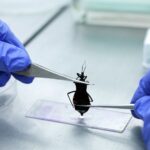 Vigilância Ambiental analisa animais que representam risco à saúde no DF