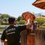 Zoológico de Brasília abre seleção para voluntários sociais e profissionais