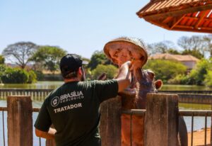 Zoológico de Brasília abre seleção para voluntários sociais e profissionais