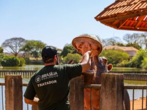 Zoológico de Brasília divulga resultado da primeira fase de seleção para voluntários