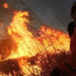 Brigadas comunitárias abrem vagas no Nordeste goiano