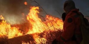 Brigadas comunitárias abrem vagas no Nordeste goiano