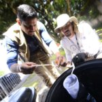 Chikungunya: rede pública do DF oferece diagnóstico e alerta sobre sintomas