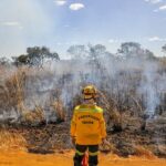 Curso do GDF e do Ibama formará brigadistas para prevenir e combater incêndios florestais no DF